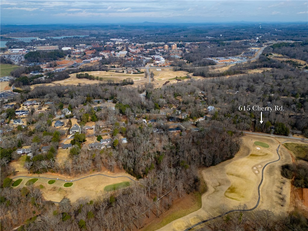 615 Cherry Road Clemson, SC 29631 - Photo 21 of 30