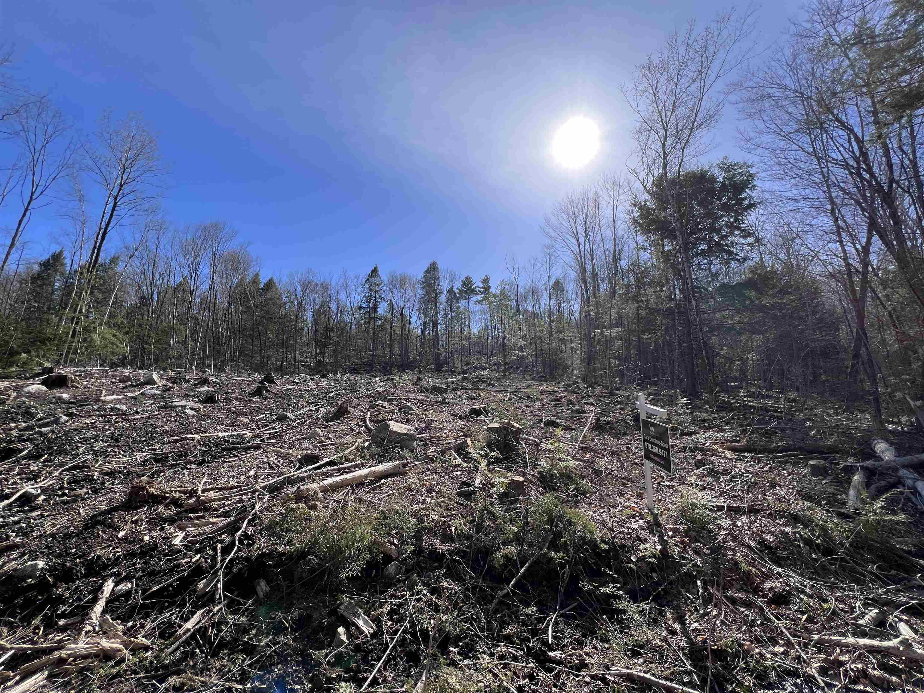 Lot 14 Northeast Pond Road Milton, NH 03851 - Photo 3 of 12