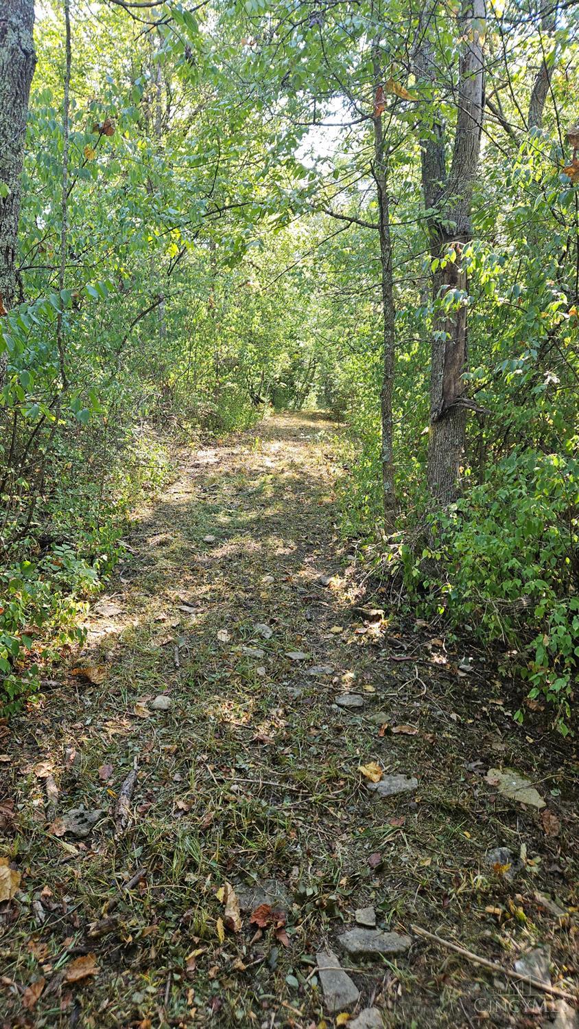 0 Wrangle Run Road Ripley, OH 45167 - Photo 28 of 39