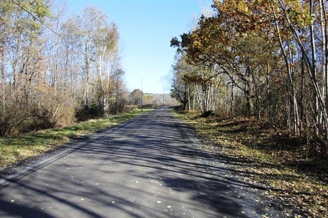 0 Rossman Fly Road Summit, NY 12175 - Photo 1 of 1 Gallery Image 1