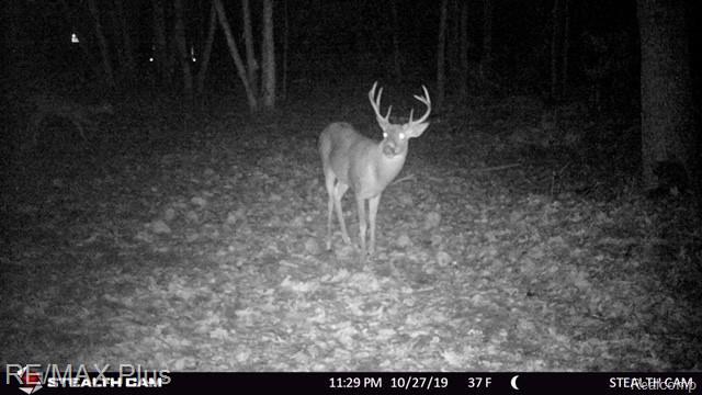 2337 King Road Lapeer, MI 48446 - Photo 80 of 80 30f.JPG