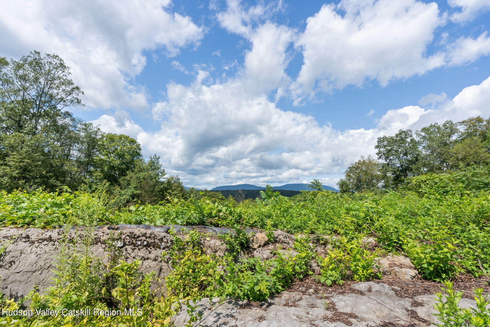 2676 Old Kings Road Catskill, NY 12414 - Photo 3 of 46 47-web-or-mls-2676-Old-Kings-Rd-47