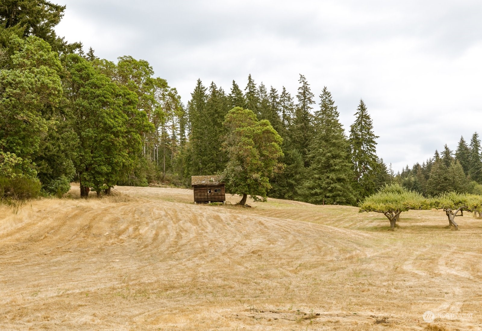 Lot#1 Kramer Road Langley, WA 98260 - Photo 1 of 30 Gallery Image 1