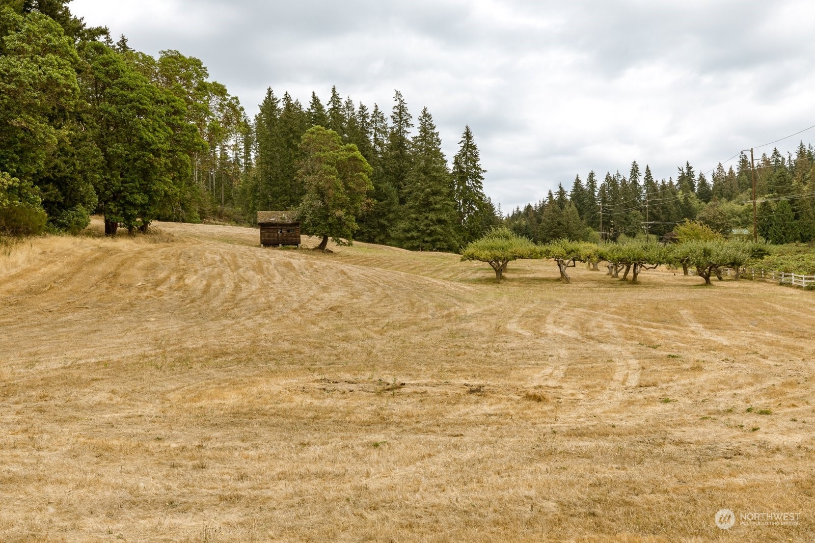 Lot#1 Kramer Road Langley, WA 98260 - Photo 17 of 30 Gallery Image 17