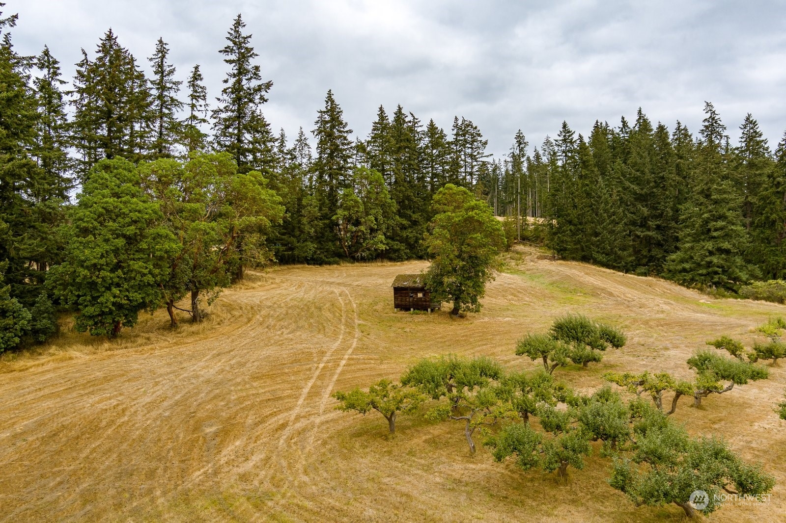 Lot#1 Kramer Road Langley, WA 98260 - Photo 5 of 30 Gallery Image 5