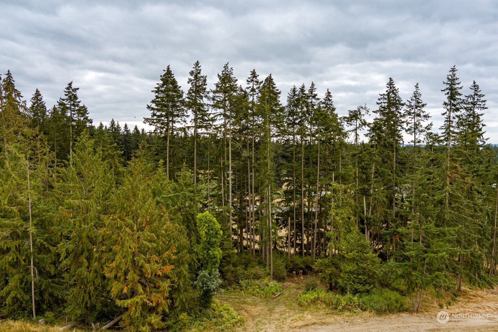 Lot#1 Kramer Road Langley, WA 98260 - Photo 6 of 30 Gallery Image 6