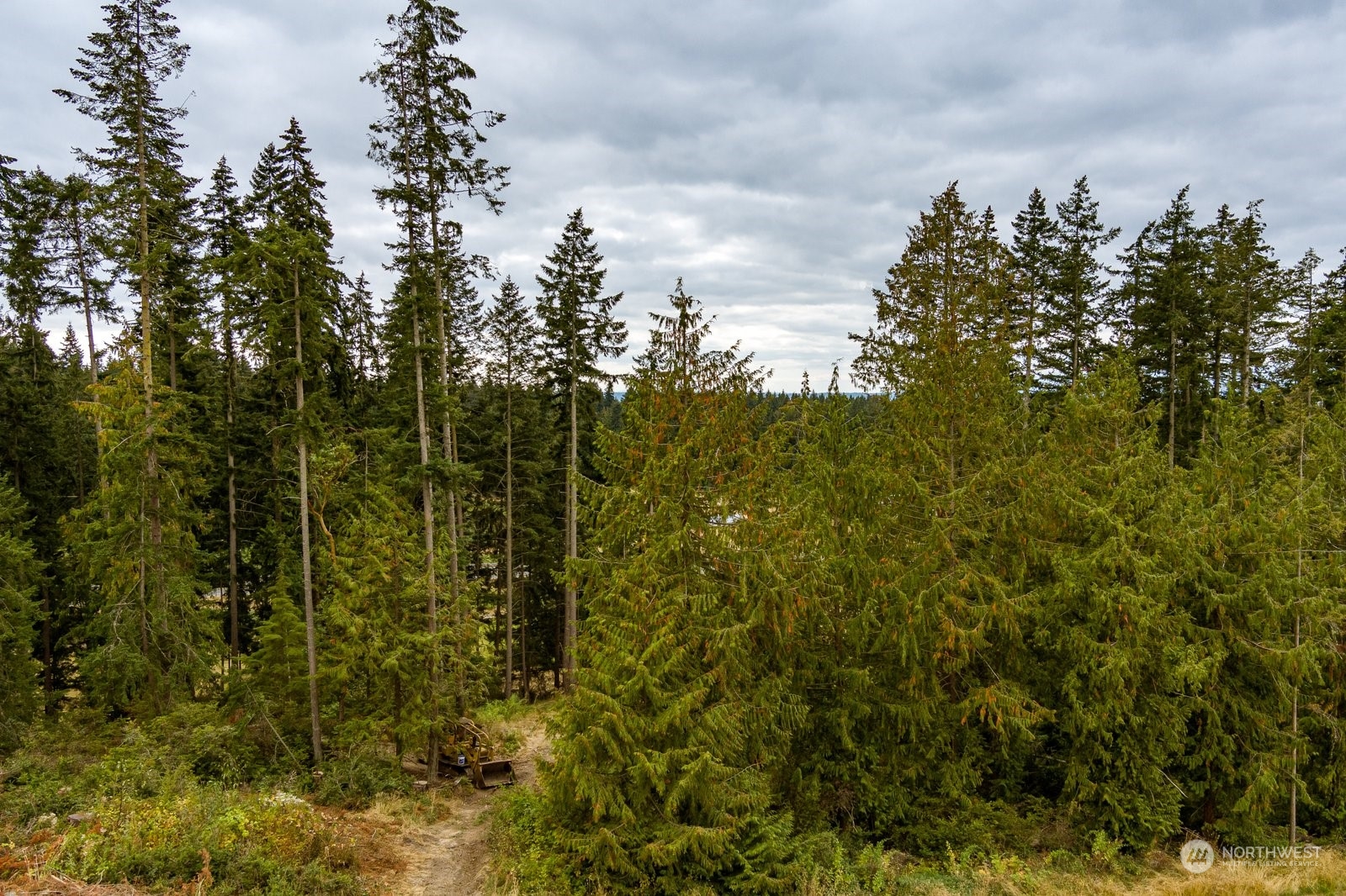 Lot#1 Kramer Road Langley, WA 98260 - Photo 7 of 30 Gallery Image 7