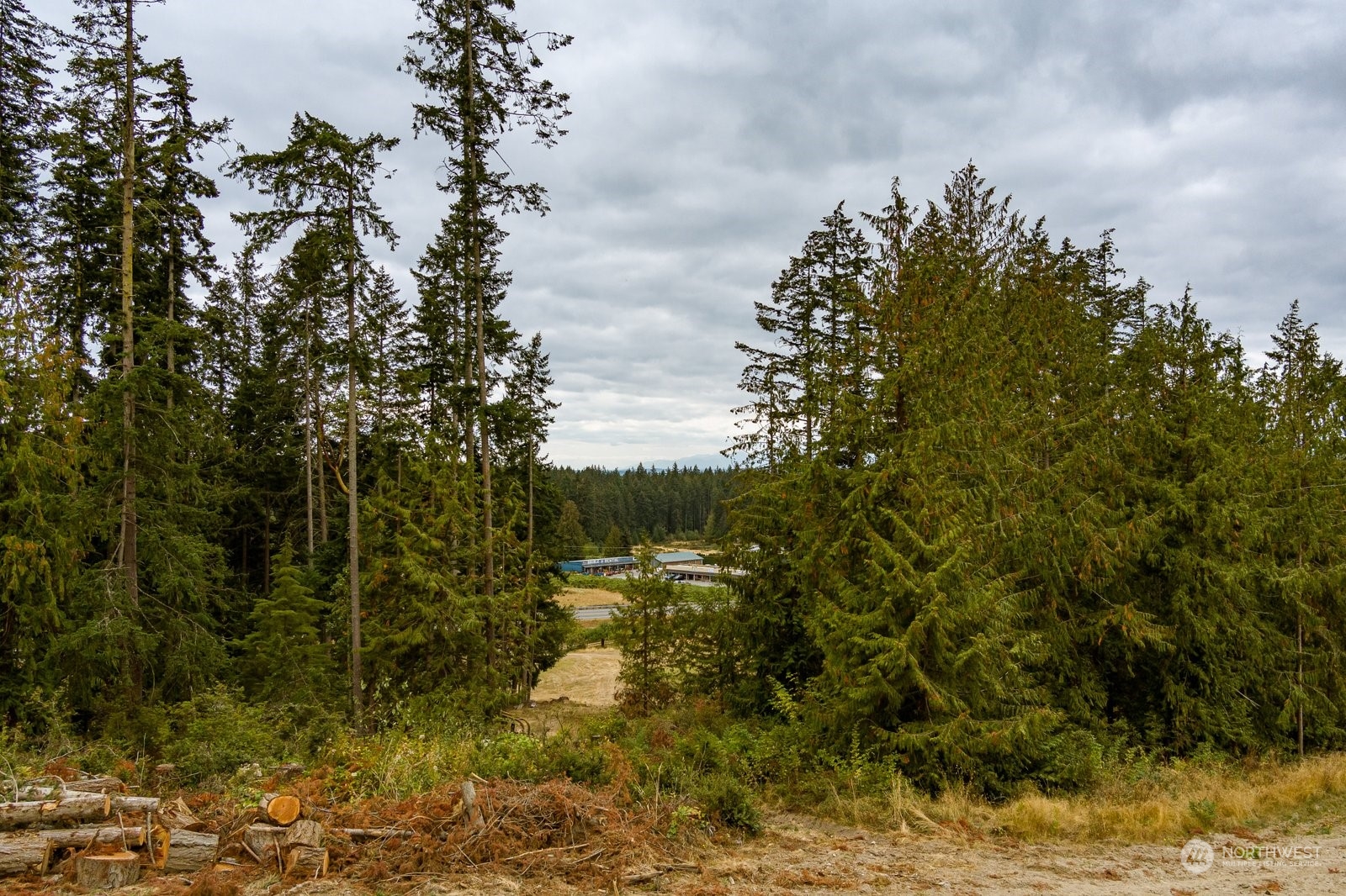 Lot#1 Kramer Road Langley, WA 98260 - Photo 8 of 30 Gallery Image 8