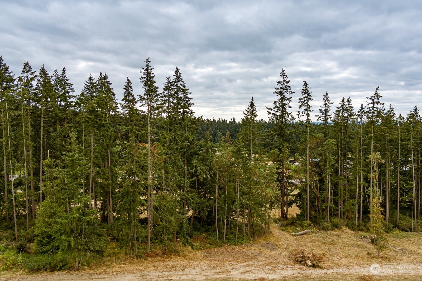 Lot#1 Kramer Road Langley, WA 98260 - Photo 9 of 30 Gallery Image 9