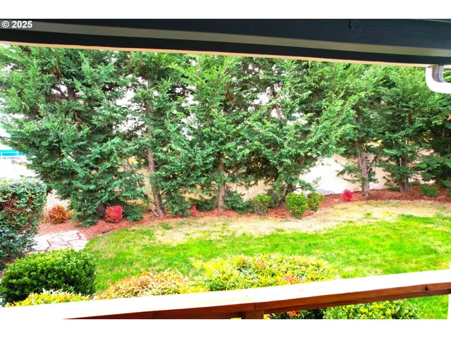 a view of yard from a window