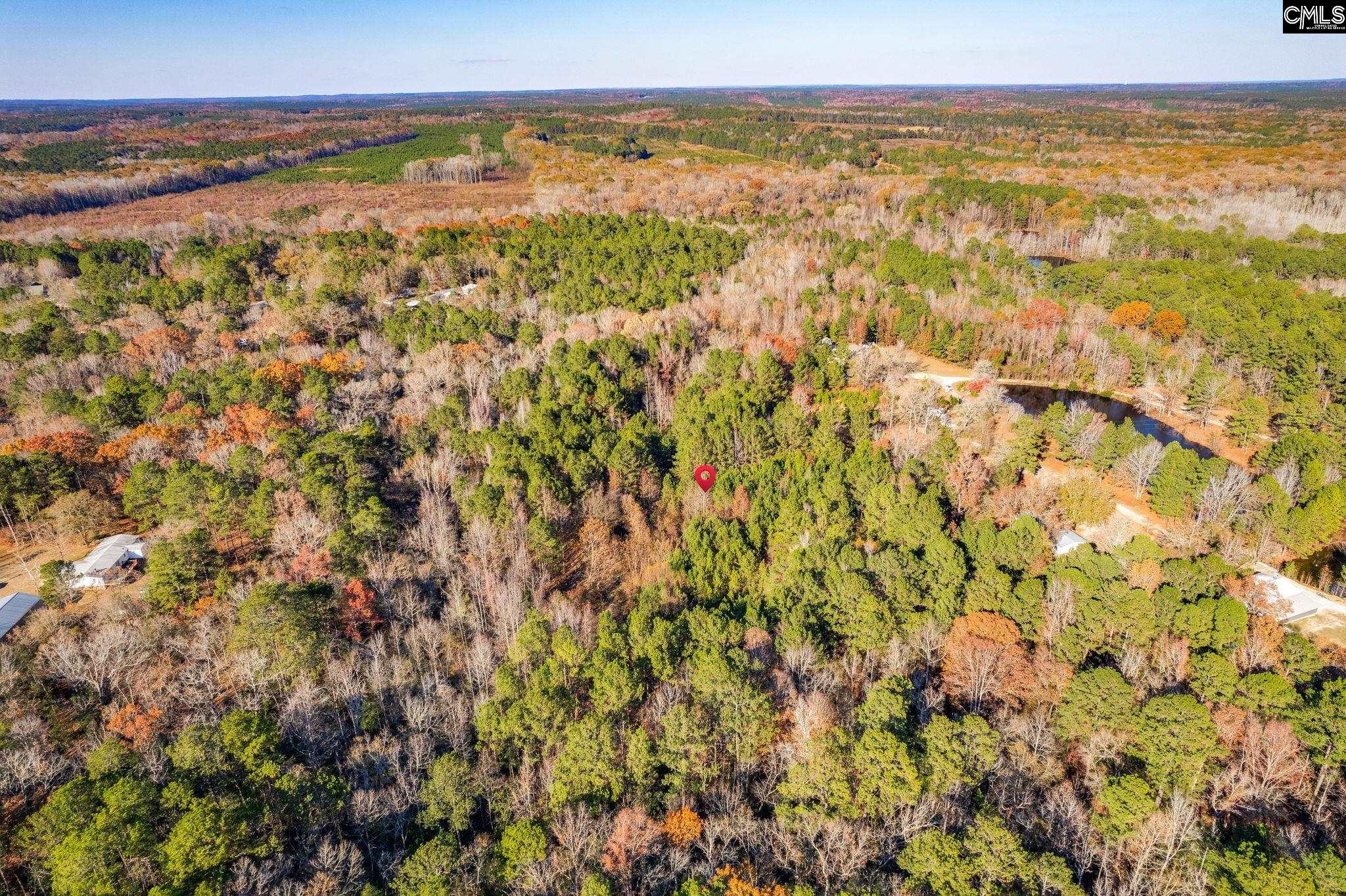 1089 Chestnut Hill Road Elgin, SC 29045 - Photo 5 of 17