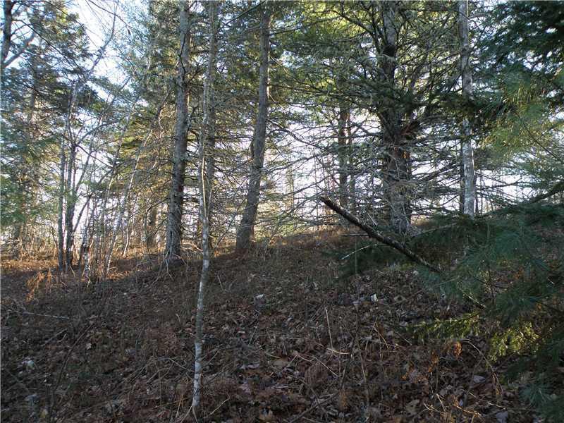 0 Flatlander And Crotch Roads Cherryfield, ME 04622 - Photo 4 of 17 Land/Lot. Land hilly along Crotch Road