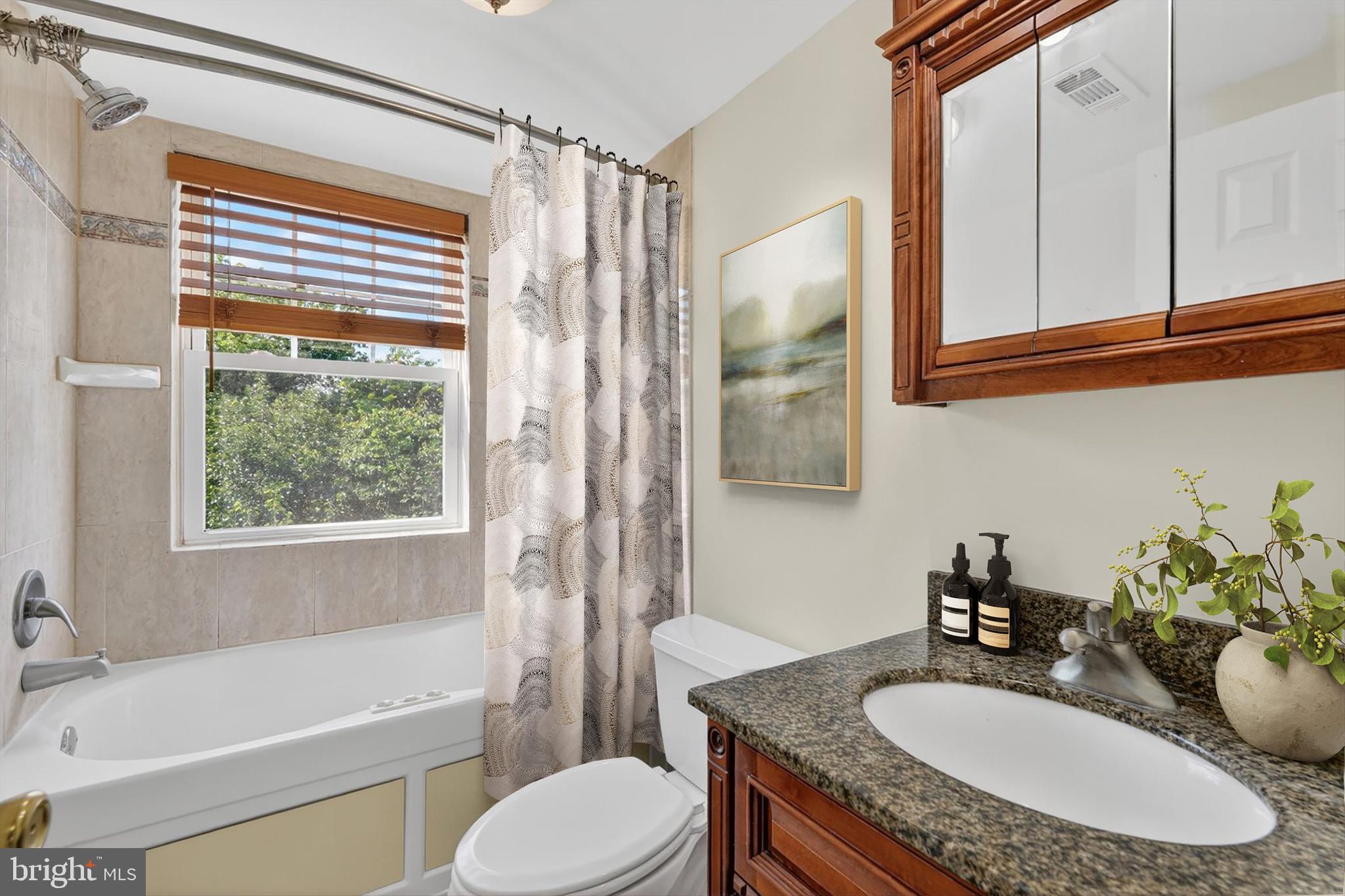 3868 9th Street Southeast, Unit 301 Washington, DC 20032 - Photo 14 of 16 a bathroom with a granite countertop sink toilet and shower