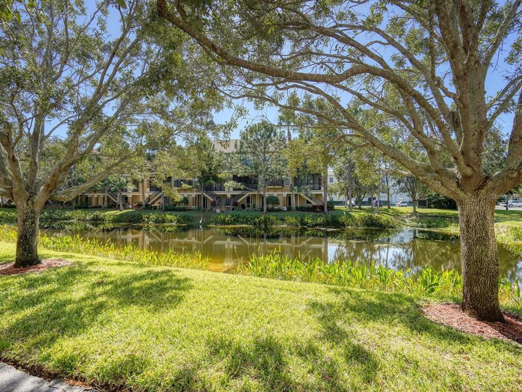 592 Bella Loop Dunedin, FL 34698 - Photo 24 of 25 a view of lake with green space