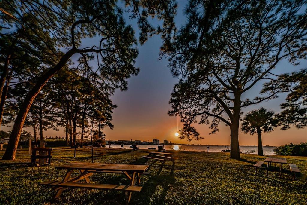 592 Bella Loop Dunedin, FL 34698 - Photo 5 of 25 a view of a yard with wooden fence