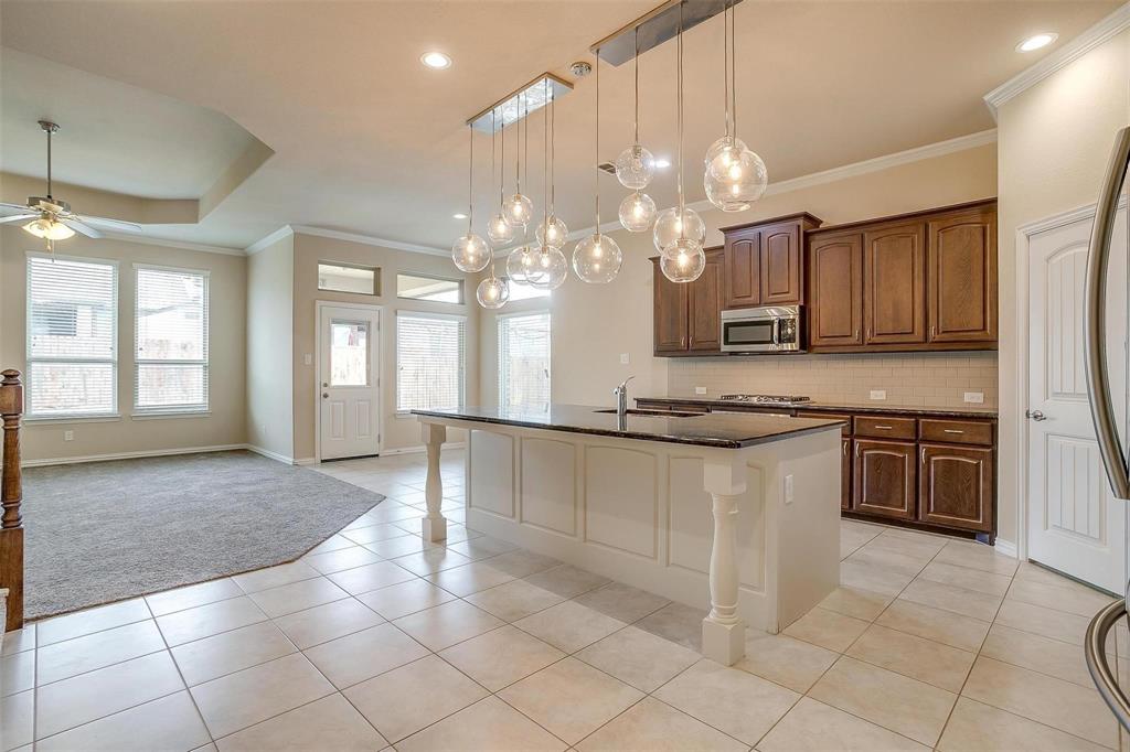 205 Mineral Point Drive Aledo, TX 76008 - Photo 5 of 38