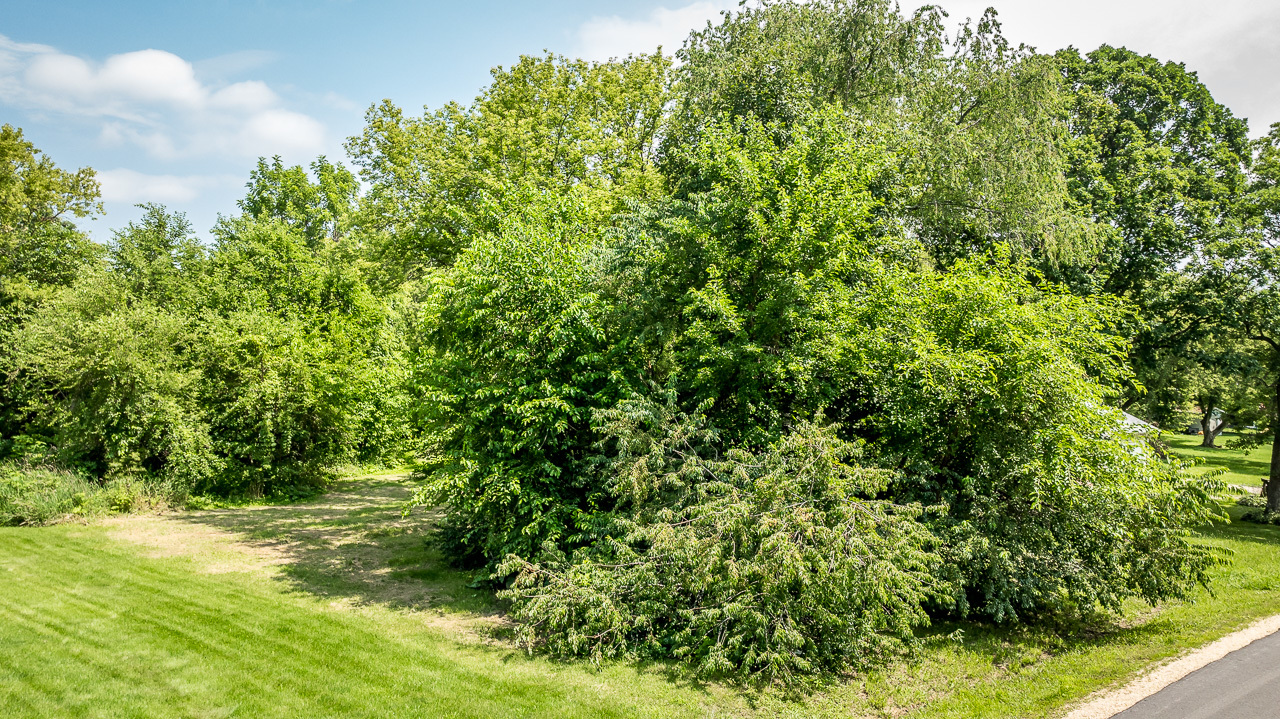 139 Pembroke Road Southwest Poplar Grove, IL 61065 - Photo 3 of 23 a view of a large yard with lots of green space