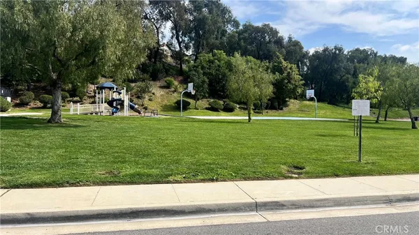 a view of a park with large trees