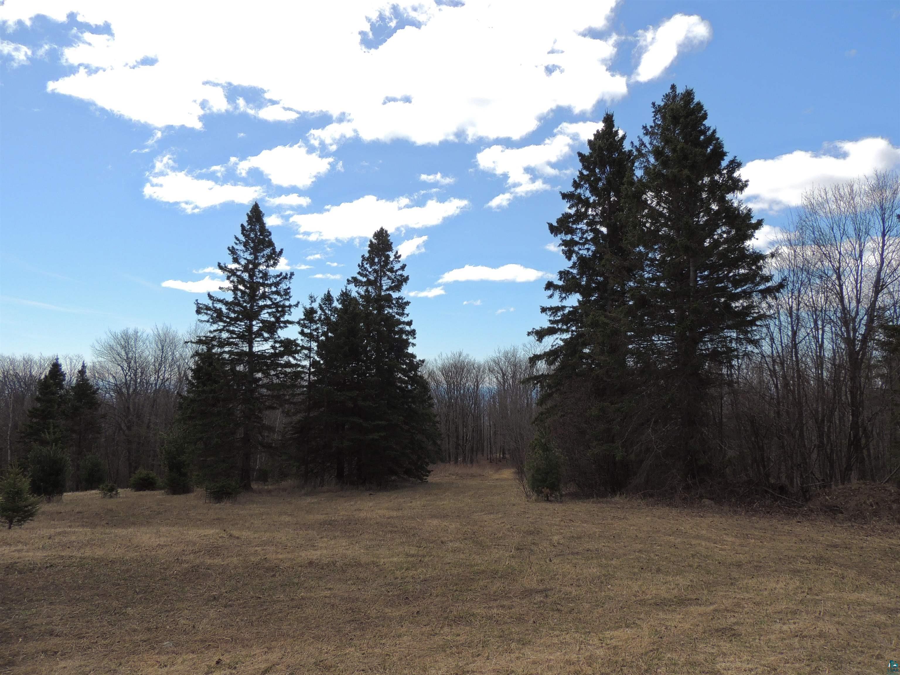 Xxx Springdale Road Tofte, MN 55615 - Photo 1 of 36