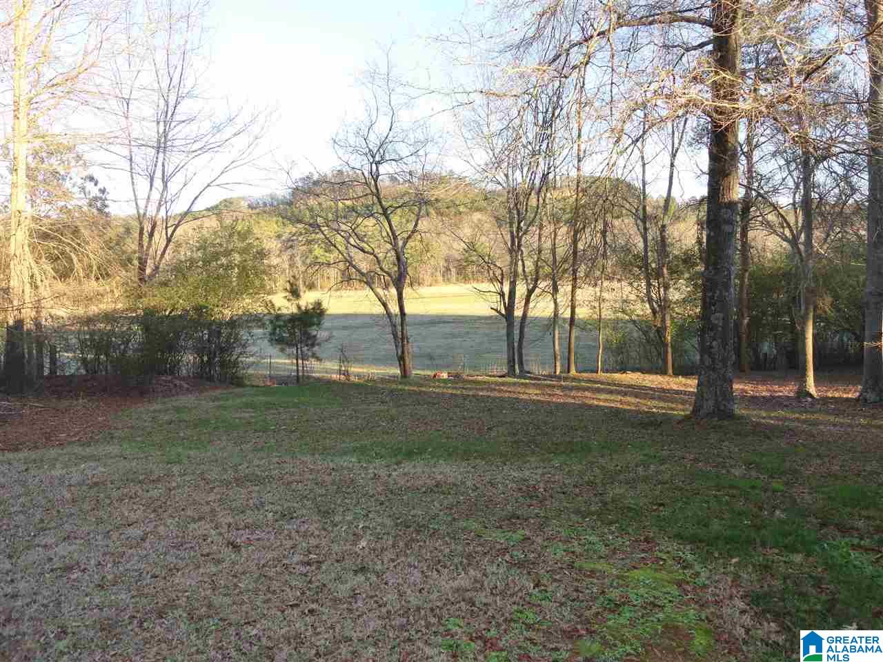 159 Cherry Lane Cleveland, AL 35049 - Photo 24 of 25