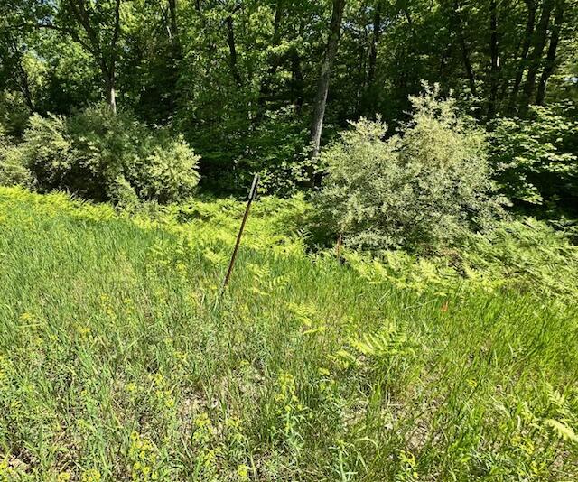 15 15 Mile Road Lakeview, MI 48850 - Photo 2 of 3