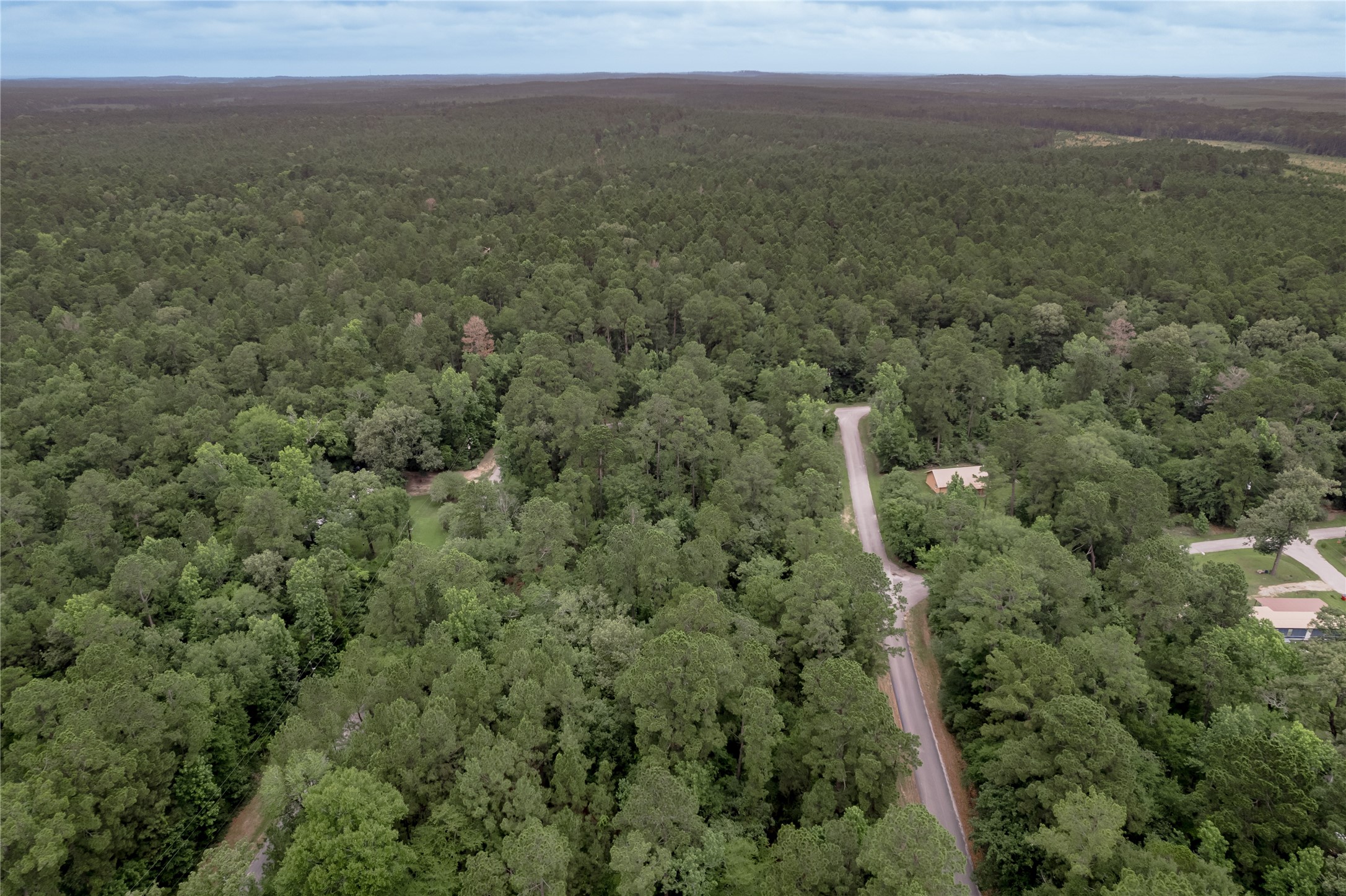 Lot 07 Oak Drive Trinity, TX 75862 - Photo 21 of 36