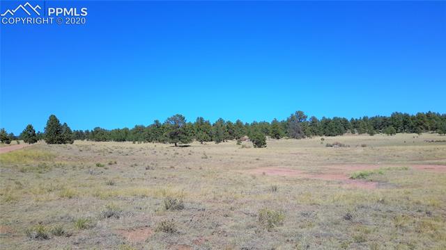 178 Carl Road Guffey, CO 80820 - Photo 7 of 11 Section of the parcel to the north.