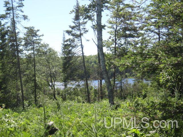 42-ac Cable Lake Road Crystal Falls, MI 49920 - Photo 35 of 36