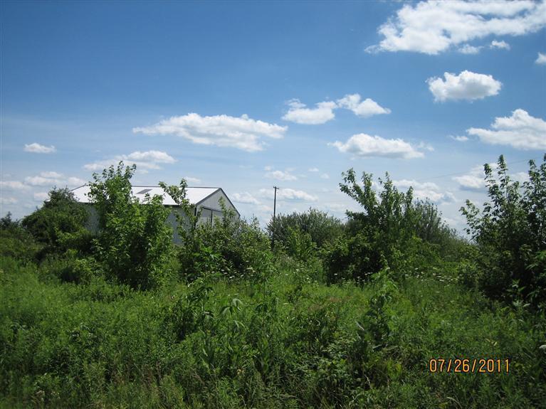 4571 West Reading Road Reading, MI 49274 - Photo 11 of 14 Additional Photo