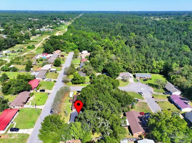 a picture of flowers