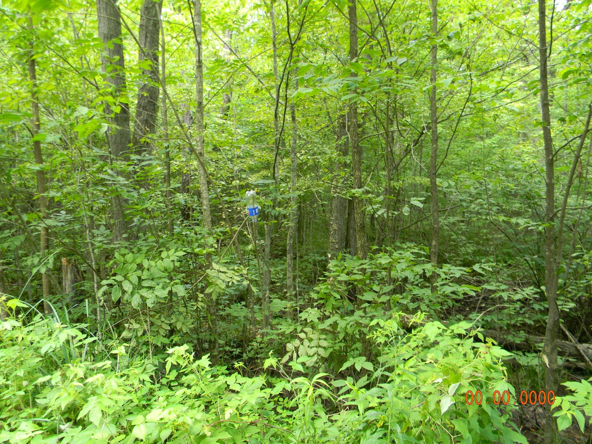 On Burr Oak Road Kennan, WI 54537 - Photo 22 of 28 Gallery Image 22