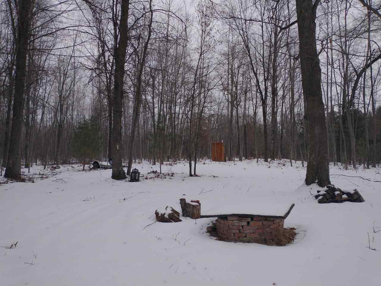40-acres Sugar River Road Gladwin, MI 48624 - Photo 31 of 33