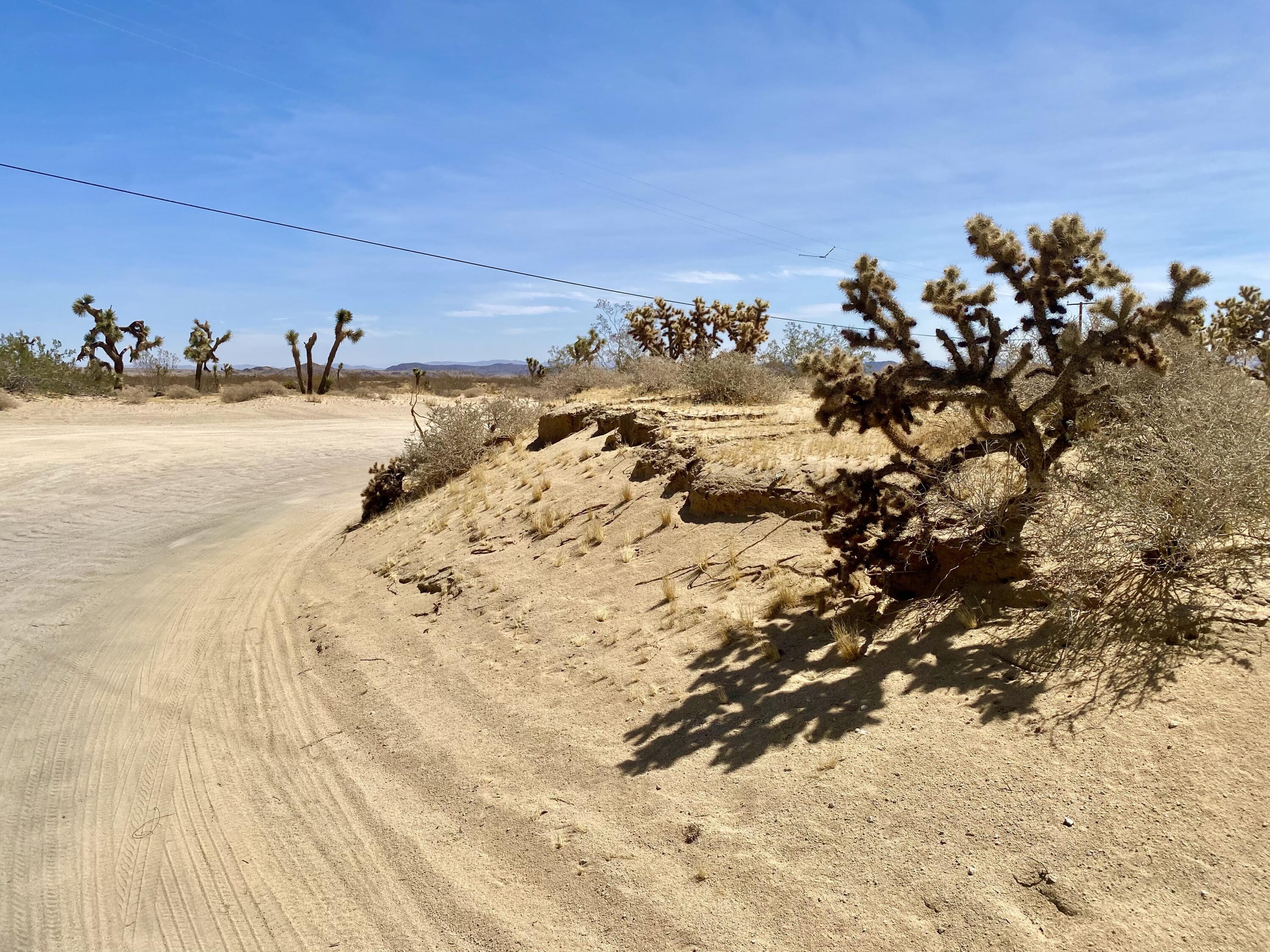 62585 2 Mile Road Joshua Tree, CA 92252 - Photo 51 of 66 IMG_9245