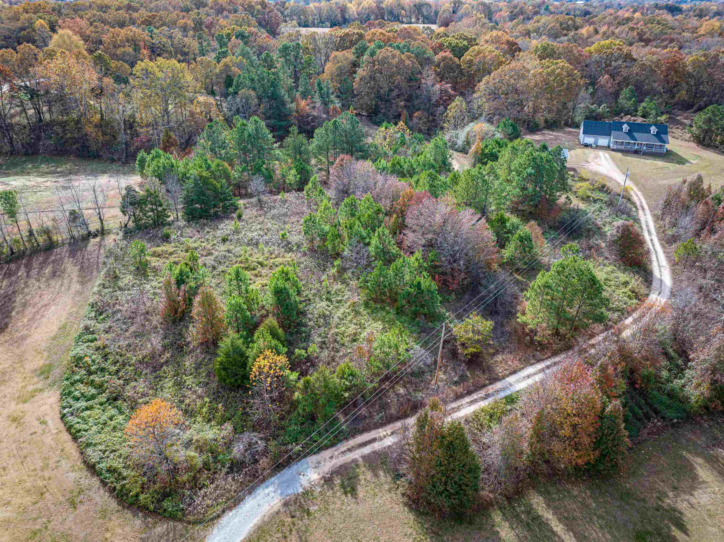 0 Windy Ridge Lane Lexington, TN 38351 - Photo 8 of 9 Photo 8