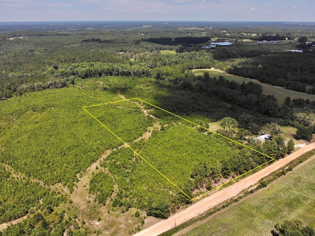6-ac Old Elba Road Coffee Springs, AL 36318 - Photo 4 of 15