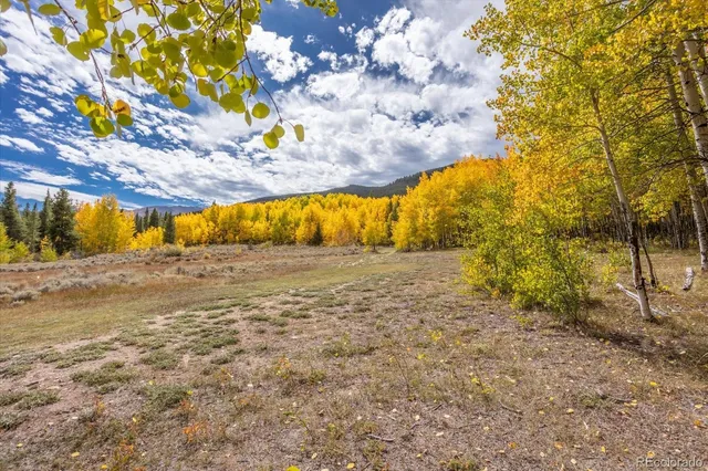 $3,350,000 | 0 County Road 28A, Buena Vista, CO 81211