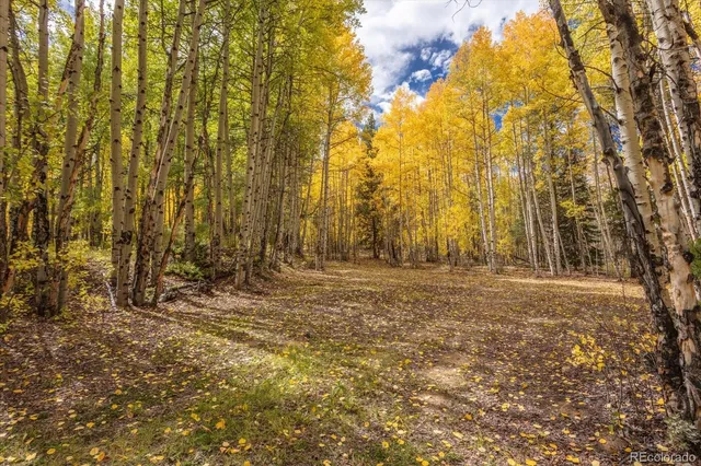 $3,350,000 | 0 County Road 28A, Buena Vista, CO 81211