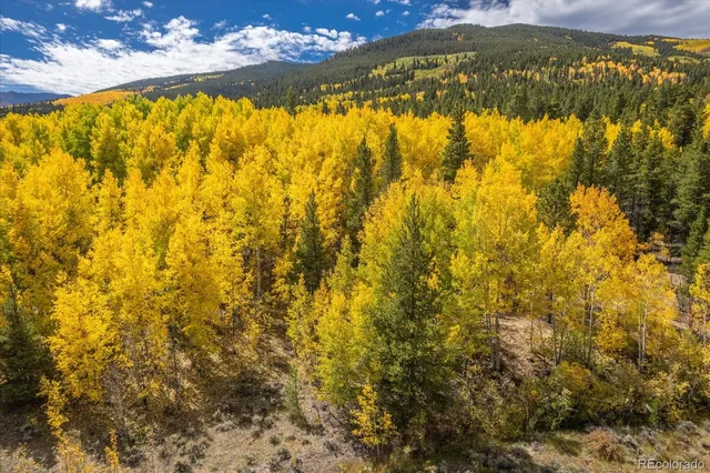 $3,350,000 | 0 County Road 28A, Buena Vista, CO 81211