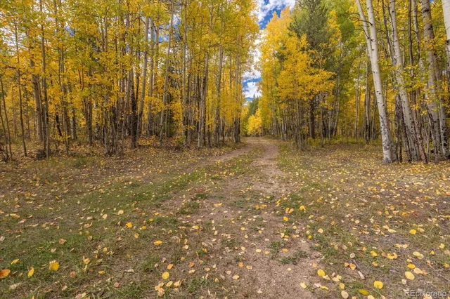 $3,350,000 | 0 County Road 28A, Buena Vista, CO 81211