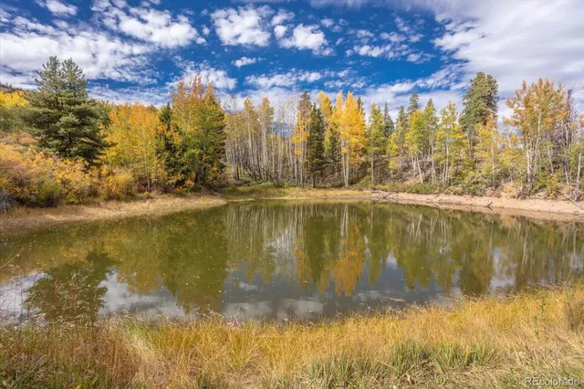 $3,350,000 | 0 County Road 28A, Buena Vista, CO 81211