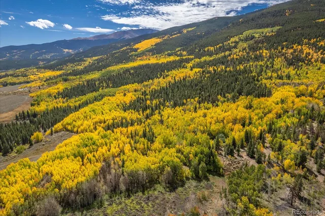 $3,350,000 | 0 County Road 28A, Buena Vista, CO 81211