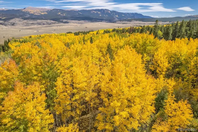 $3,350,000 | 0 County Road 28A, Buena Vista, CO 81211