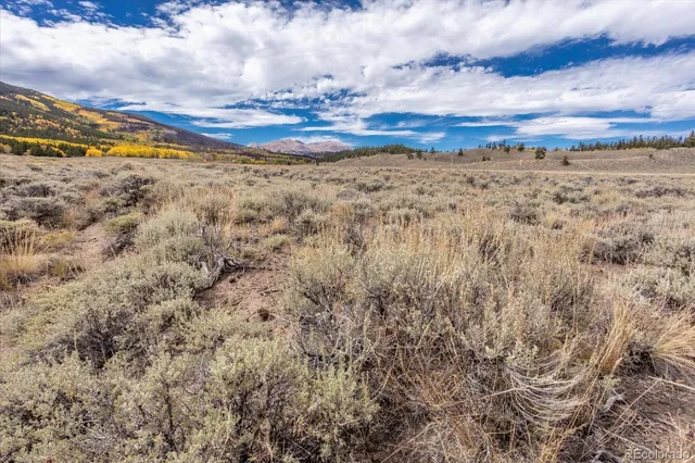 $3,350,000 | 0 County Road 28A, Buena Vista, CO 81211