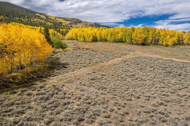 $3,350,000 | 0 County Road 28A, Buena Vista, CO 81211