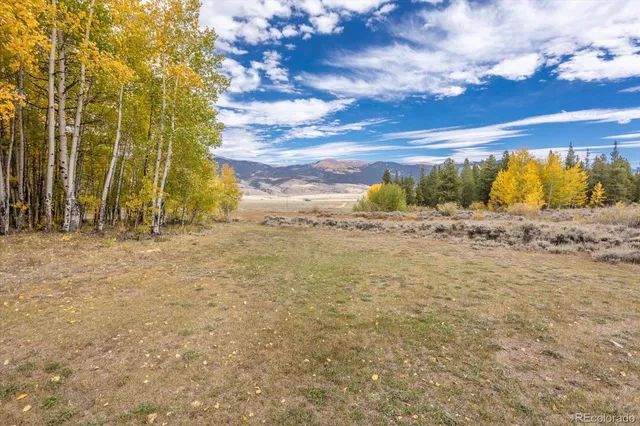 $3,350,000 | 0 County Road 28A, Buena Vista, CO 81211