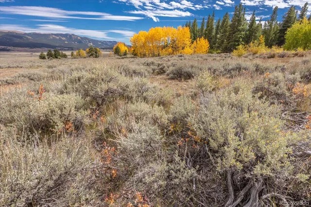 $3,350,000 | 0 County Road 28A, Buena Vista, CO 81211