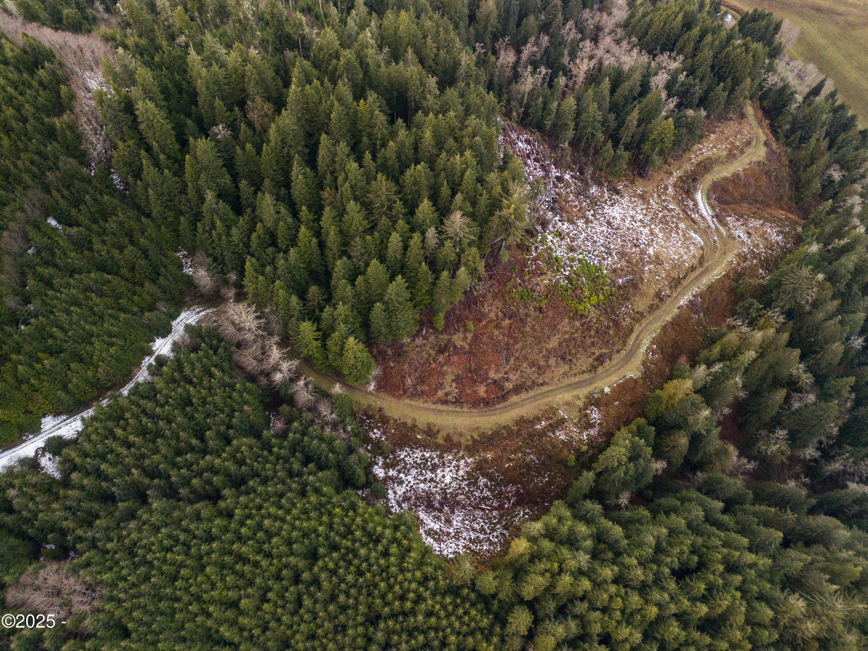 1500 Shiffman Road Nehalem, OR 97131 - Photo 7 of 15 DJI_20250209142944_0120_D
