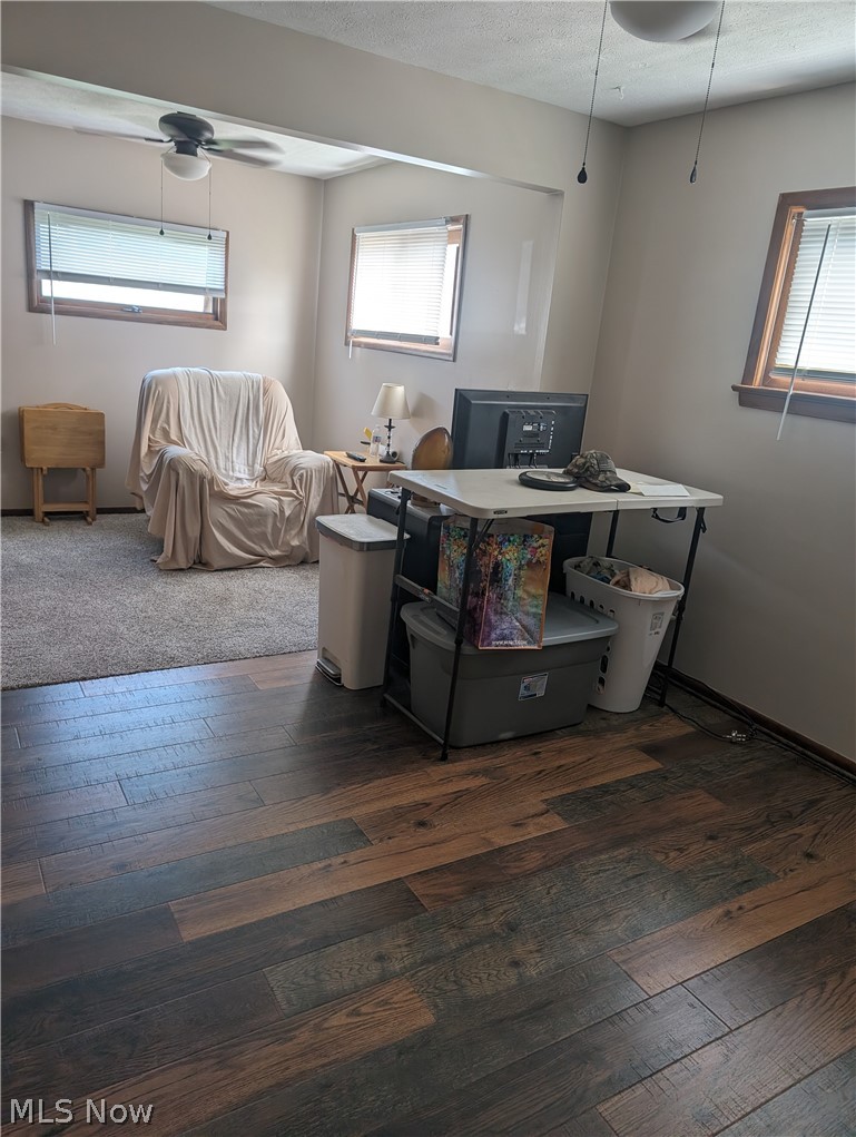 30213 Barjode Road Willowick, OH 44095 - Photo 10 of 20 Kitchen featuring carpet flooring, plenty of natural light, and ceiling fan
