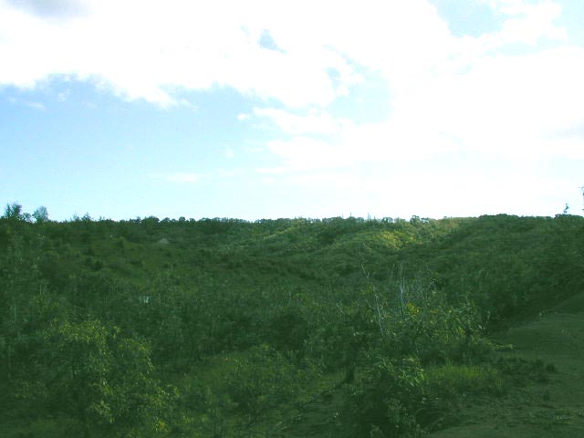 6761 Koolau Road Kilauea, HI 96754 - Photo 4 of 4 Gallery Image 4