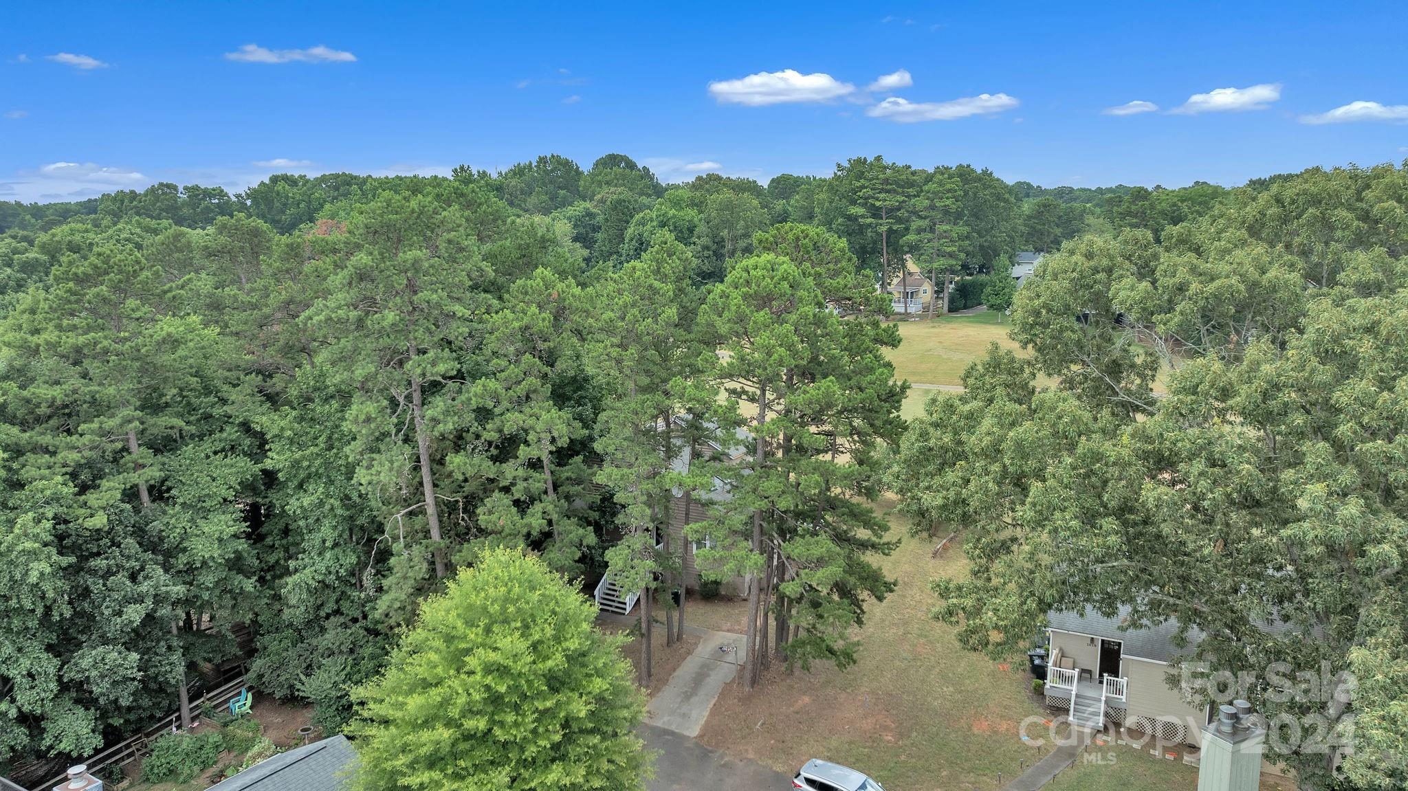 1018 Palmyra Drive Tega Cay, SC 29708 - Photo 3 of 36 a view of a city with lush green forest